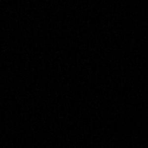 Meet your Posher, Dion